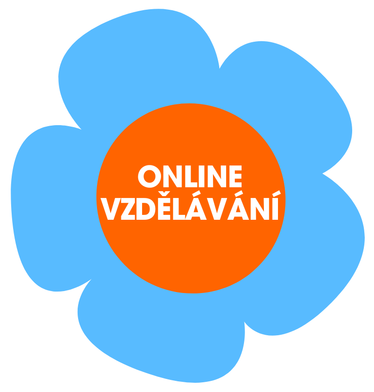 online vzdělávání
